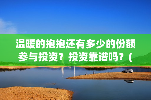 温暖的抱抱还有多少的份额参与投资？投资靠谱吗？(温暖的抱抱是)