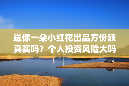 送你一朵小红花出品方份额真实吗？个人投资风险大吗？(送你一朵小红花歌词表达什么意思)