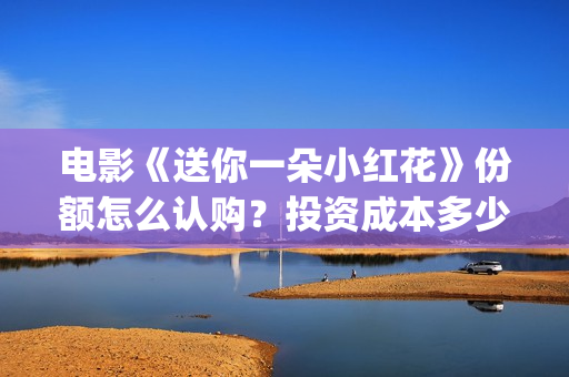电影《送你一朵小红花》份额怎么认购？投资成本多少？(电影送你一朵小红花完整版免费观看)