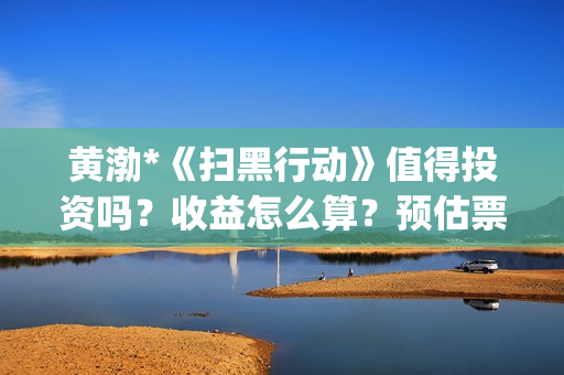 黄渤*《扫黑行动》值得投资吗？收益怎么算？预估票房多少？(电视剧扫黑暴)