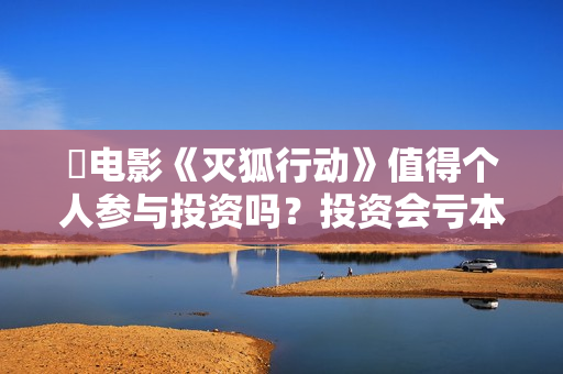 ☞电影《灭狐行动》值得个人参与投资吗？投资会亏本吗？怎么降低投资风险？