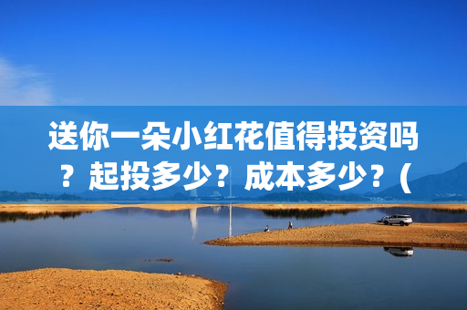 送你一朵小红花值得投资吗？起投多少？成本多少？(送你一朵小红花原唱)