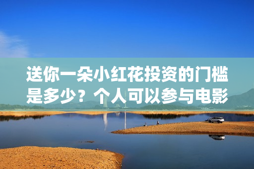 送你一朵小红花投资的门槛是多少？个人可以参与电影投资吗？(送你一朵小红花电影)