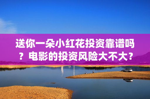 送你一朵小红花投资靠谱吗？电影的投资风险大不大？(送你一朵小红花电影)