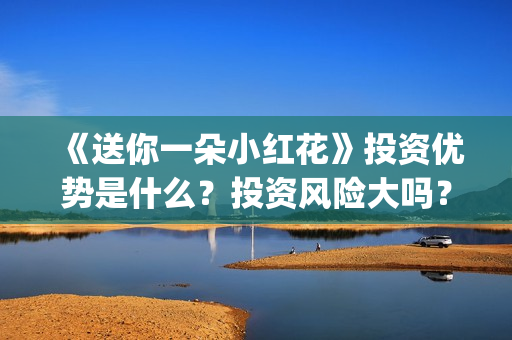 《送你一朵小红花》投资优势是什么？投资风险大吗？(送你一朵小红花)