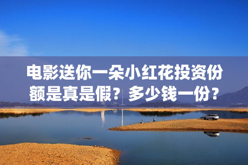 电影送你一朵小红花投资份额是真是假？多少钱一份？(电影送你一朵小红花讲述的主题是抗癌吗)