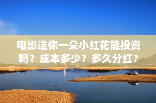 电影送你一朵小红花能投资吗？成本多少？多久分红？(电影送你一朵小红花主题曲)