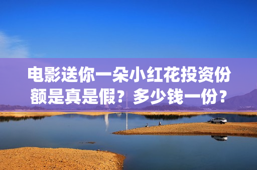 电影送你一朵小红花投资份额是真是假？多少钱一份？(电影送你一朵小花)