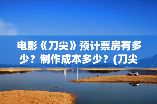 电影《刀尖》预计票房有多少？制作成本多少？(刀尖这部电影哪年拍的)