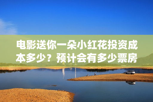 电影送你一朵小红花投资成本多少？预计会有多少票房？(电影送你一朵小红花主题曲)