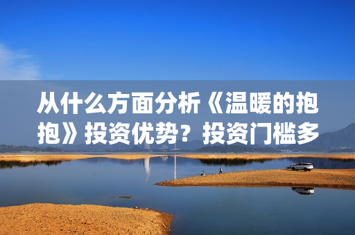 从什么方面分析《温暖的抱抱》投资优势？投资门槛多少?(从什么角度分析)