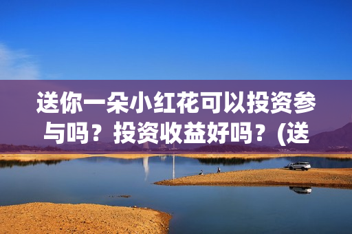 送你一朵小红花可以投资参与吗？投资收益好吗？(送你一朵小红花 歌曲)