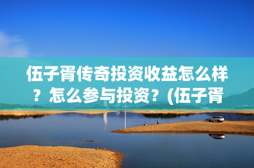 伍子胥传奇投资收益怎么样？怎么参与投资？(伍子胥传奇电视剧投资项目)
