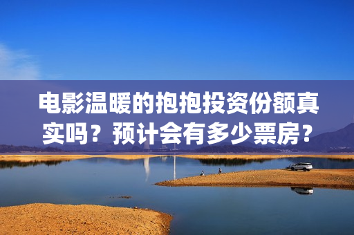 电影温暖的抱抱投资份额真实吗？预计会有多少票房？(电影温暖的抱抱剧情介绍)