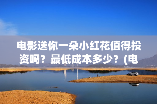 电影送你一朵小红花值得投资吗？最低成本多少？(电影送你一朵小红花演员表)