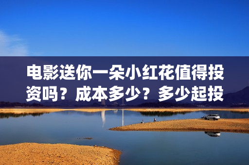 电影送你一朵小红花值得投资吗？成本多少？多少起投？(电影送你一朵小红花简介)