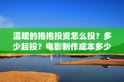 温暖的抱抱投资怎么投？多少起投？电影制作成本多少？(温暖的抱抱投资商)