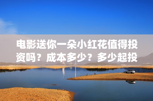 电影送你一朵小红花值得投资吗？成本多少？多少起投？(电影送你一朵小红花的英文)