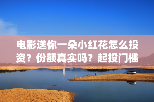 电影送你一朵小红花怎么投资？份额真实吗？起投门槛多少？(电影送你一朵小红花演员表)