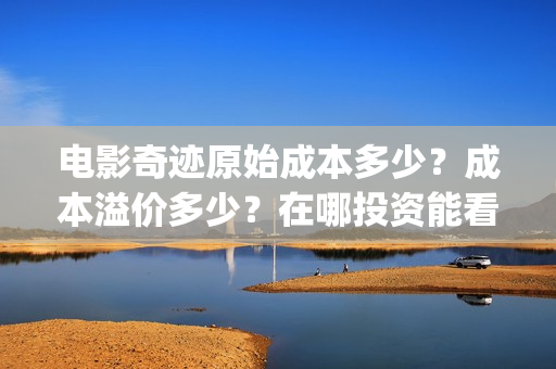 电影奇迹原始成本多少？成本溢价多少？在哪投资能看底层协议？(奇迹原则)