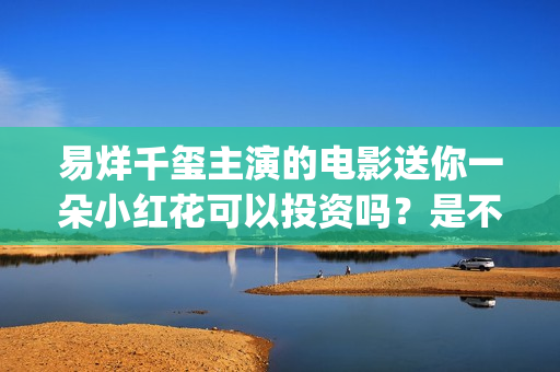 易烊千玺主演的电影送你一朵小红花可以投资吗？是不是投资骗局 (易烊千玺主演的电影小小的我的观后感)