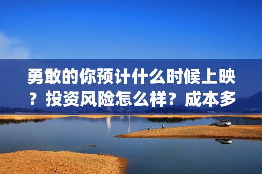 勇敢的你预计什么时候上映？投资风险怎么样？成本多少(勇敢的你何时上映)