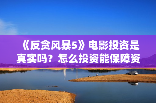 《反贪风暴5》电影投资是真实吗？怎么投资能保障资金安全？(反贪风暴5国语在线观看)