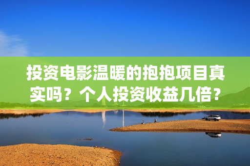 投资电影温暖的抱抱项目真实吗？个人投资收益几倍？票房分红怎么计算？ (温暖电影台词)