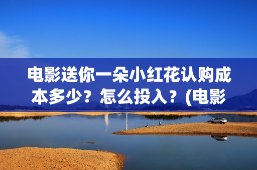 电影送你一朵小红花认购成本多少？怎么投入？(电影送你一朵小红花的英文)