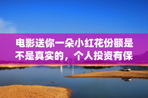 电影送你一朵小红花份额是不是真实的，个人投资有保障吗？ (电影送你一朵小红花豆瓣评分)