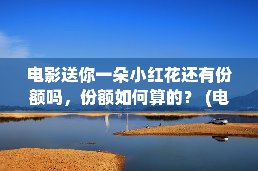 电影送你一朵小红花还有份额吗，份额如何算的？ (电影送你一朵小红花简介)