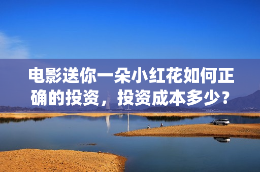 电影送你一朵小红花如何正确的投资，投资成本多少？ (电影送你一朵小红花主题曲)