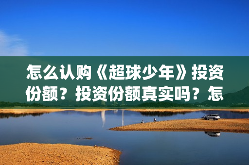 怎么认购《超球少年》投资份额？投资份额真实吗？怎么参与？(怎么认购《超球》的书)