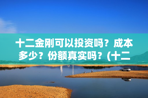十二金刚可以投资吗？成本多少？份额真实吗？(十二金刚1967)