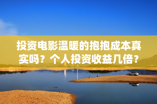 投资电影温暖的抱抱成本真实吗？个人投资收益几倍？(温暖的电影海报)