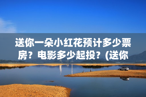 送你一朵小红花预计多少票房？电影多少起投？(送你一朵小红花 歌曲)