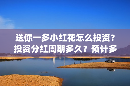 送你一多小红花怎么投资？投资分红周期多久？预计多少票房？(送你一多小红花照片)