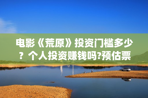 电影《荒原》投资门槛多少？个人投资赚钱吗?预估票房多少？(荒原电影出品方)