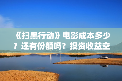 《扫黑行动》电影成本多少？还有份额吗？投资收益空间大吗？(《扫黑行动》电视剧)