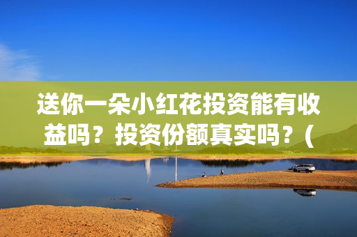 送你一朵小红花投资能有收益吗？投资份额真实吗？(送你一朵小红花歌词)