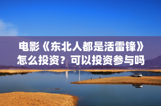 电影《东北人都是活雷锋》怎么投资？可以投资参与吗？(《东北人》)