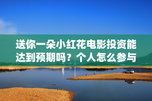 送你一朵小红花电影投资能达到预期吗？个人怎么参与 (送你一朵小红花歌词表达什么意思)