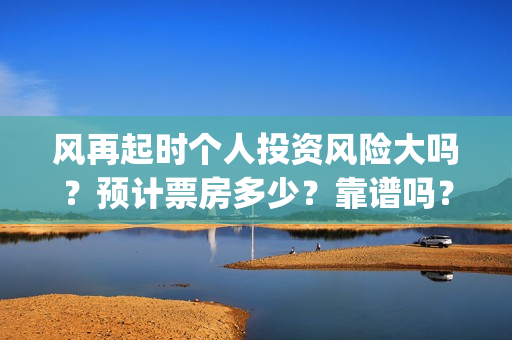 风再起时个人投资风险大吗？预计票房多少？靠谱吗？(风 再 起 时)