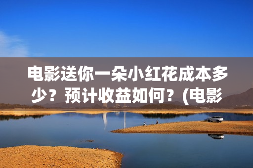 电影送你一朵小红花成本多少？预计收益如何？(电影送你一朵小红花的英文)