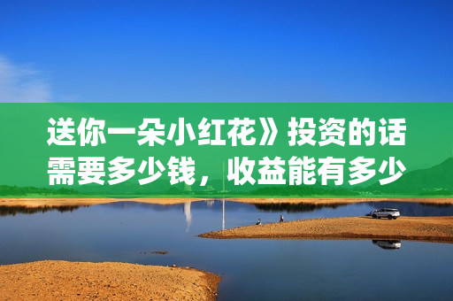 送你一朵小红花》投资的话需要多少钱，收益能有多少(送你一朵小红花结局)