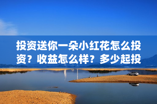 投资送你一朵小红花怎么投资？收益怎么样？多少起投？(投资送你一朵小红花)