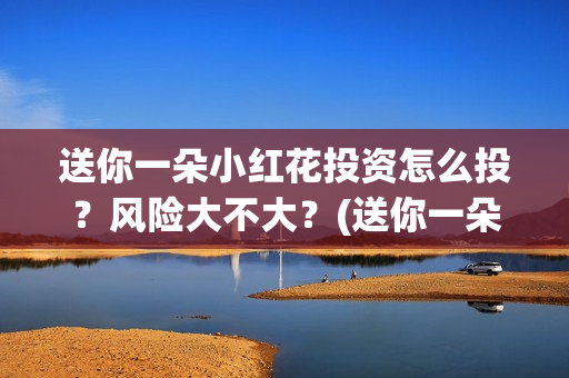 送你一朵小红花投资怎么投？风险大不大？(送你一朵小红花简谱)