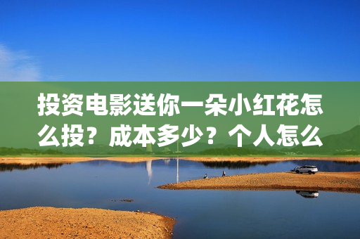 投资电影送你一朵小红花怎么投？成本多少？个人怎么参与？(投资电影一定赚钱吗)