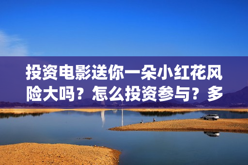 投资电影送你一朵小红花风险大吗？怎么投资参与？多少起投？(给我投资电影)