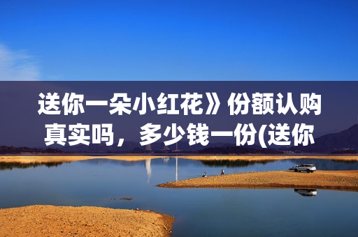 送你一朵小红花》份额认购真实吗，多少钱一份(送你一朵小红花原唱)